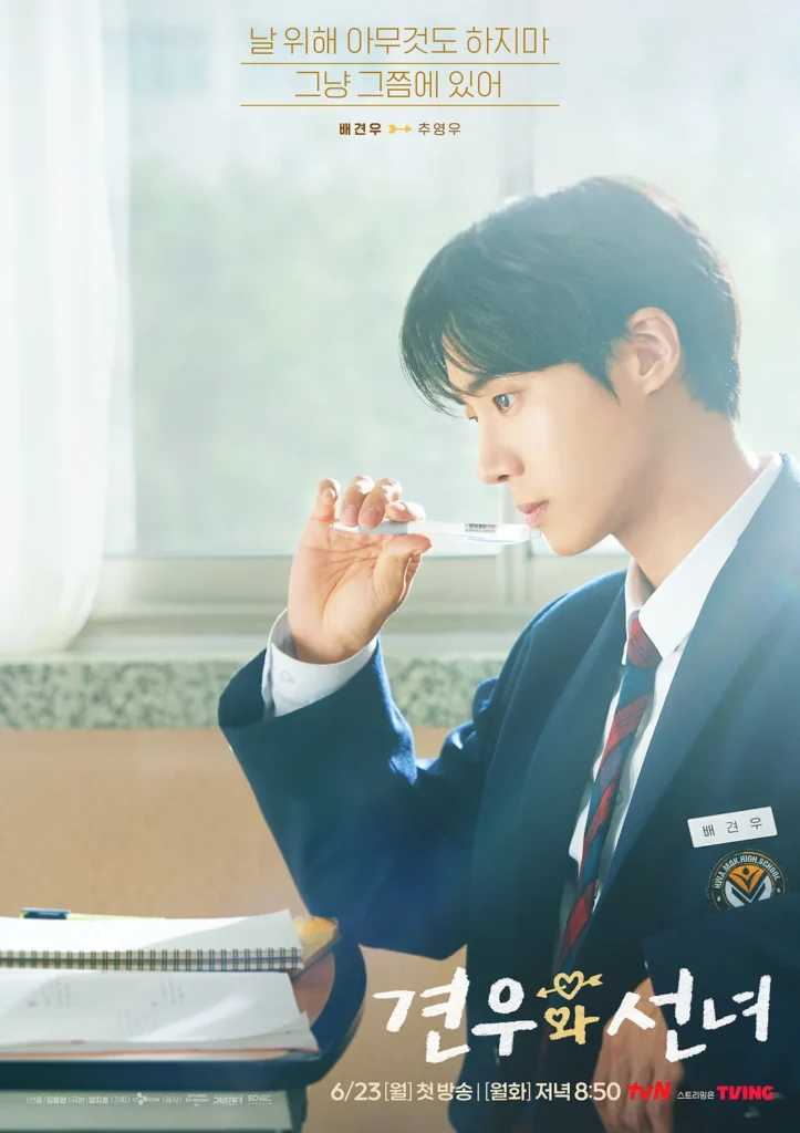 Head Over Heels tvN Drama Drops Stunning Posters
