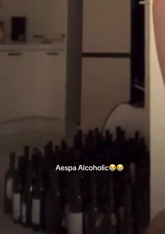 aespa Ningning Sparks Debate After Alcohol Bottles Seen on Stream