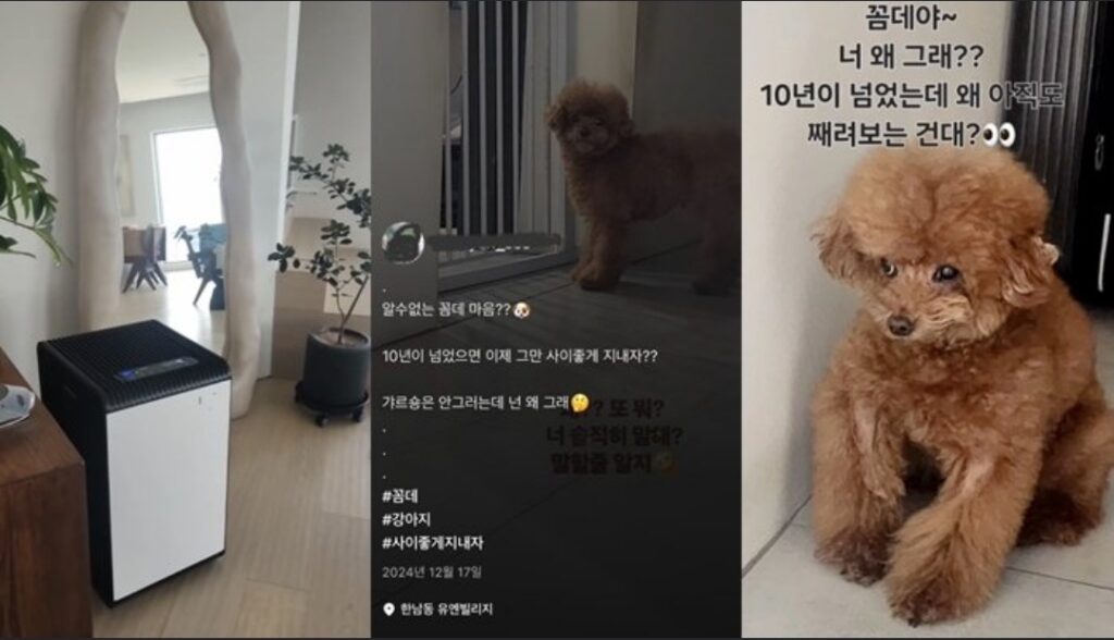 Netizens Demand Clarification From SHINee’s Key Amid “Injection Auntie” Allegations