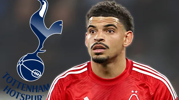 Morgan Gibbs-White Signs New Forest Contract