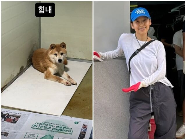 Lee Hyori Supports Stray Dogs at Anseong Shelter