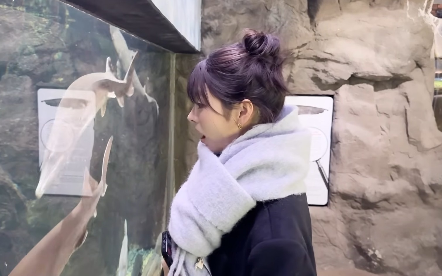MEOVV Anna Sea Aquarium Vlog Feels Unnatural